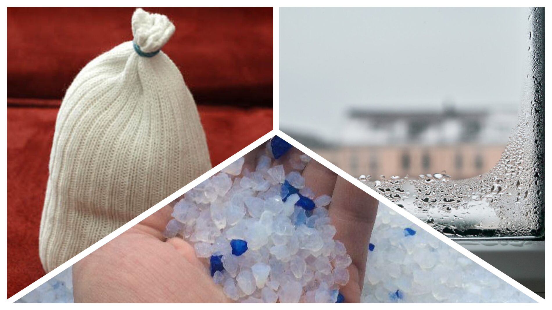 Господині розповіли, як використовувати наповнювач для котячого лотка у побуті 