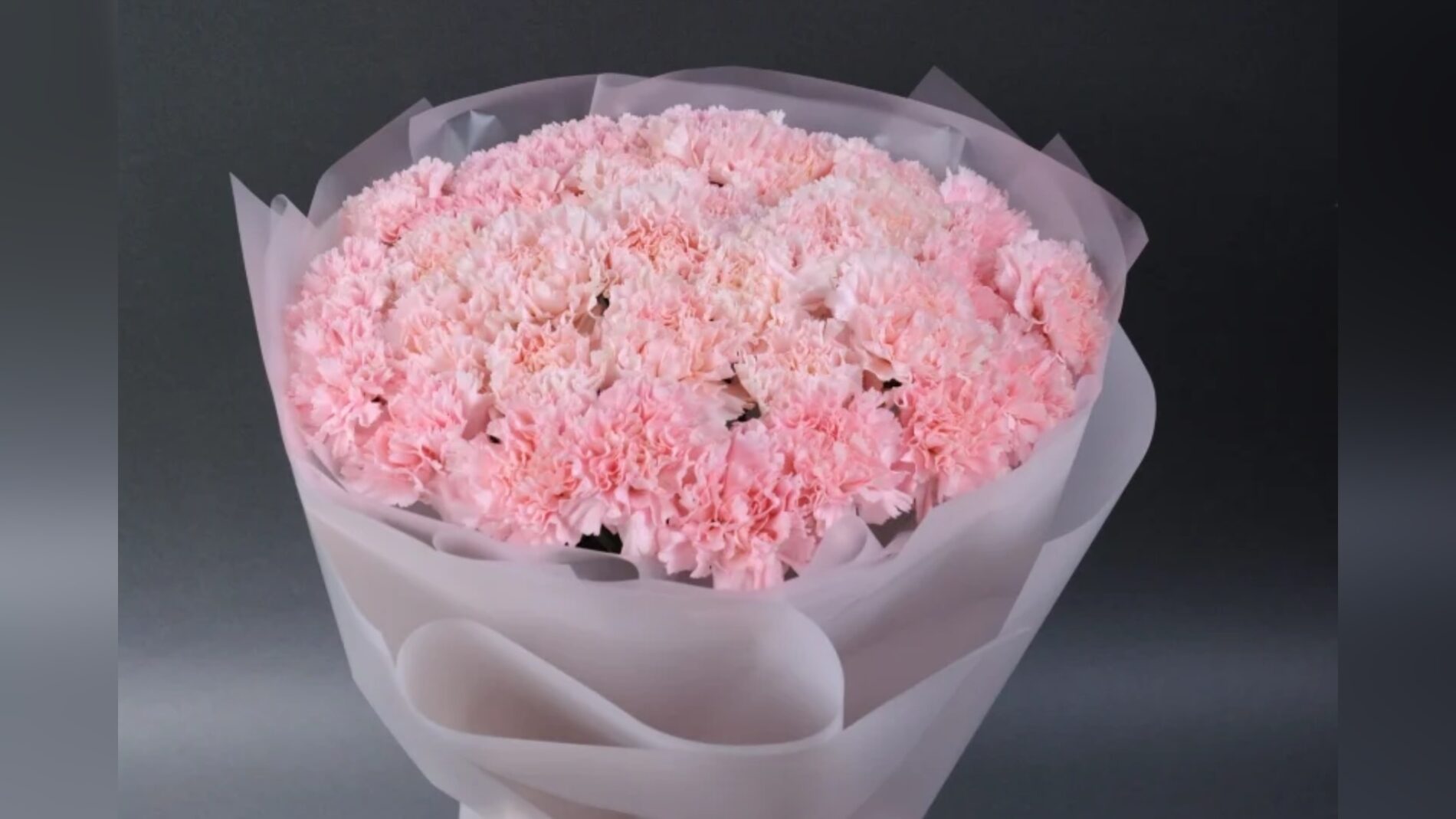 Садівники назвали родючий сорт блідо-рожевої гвоздики 