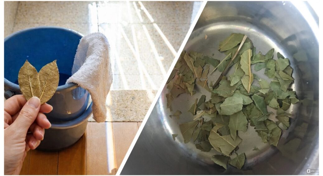 Без кондиціонера, ефірних олій чи хімії: 1 інгредієнт у воду перед миттям підлоги — і вдома пахне “дорого” 