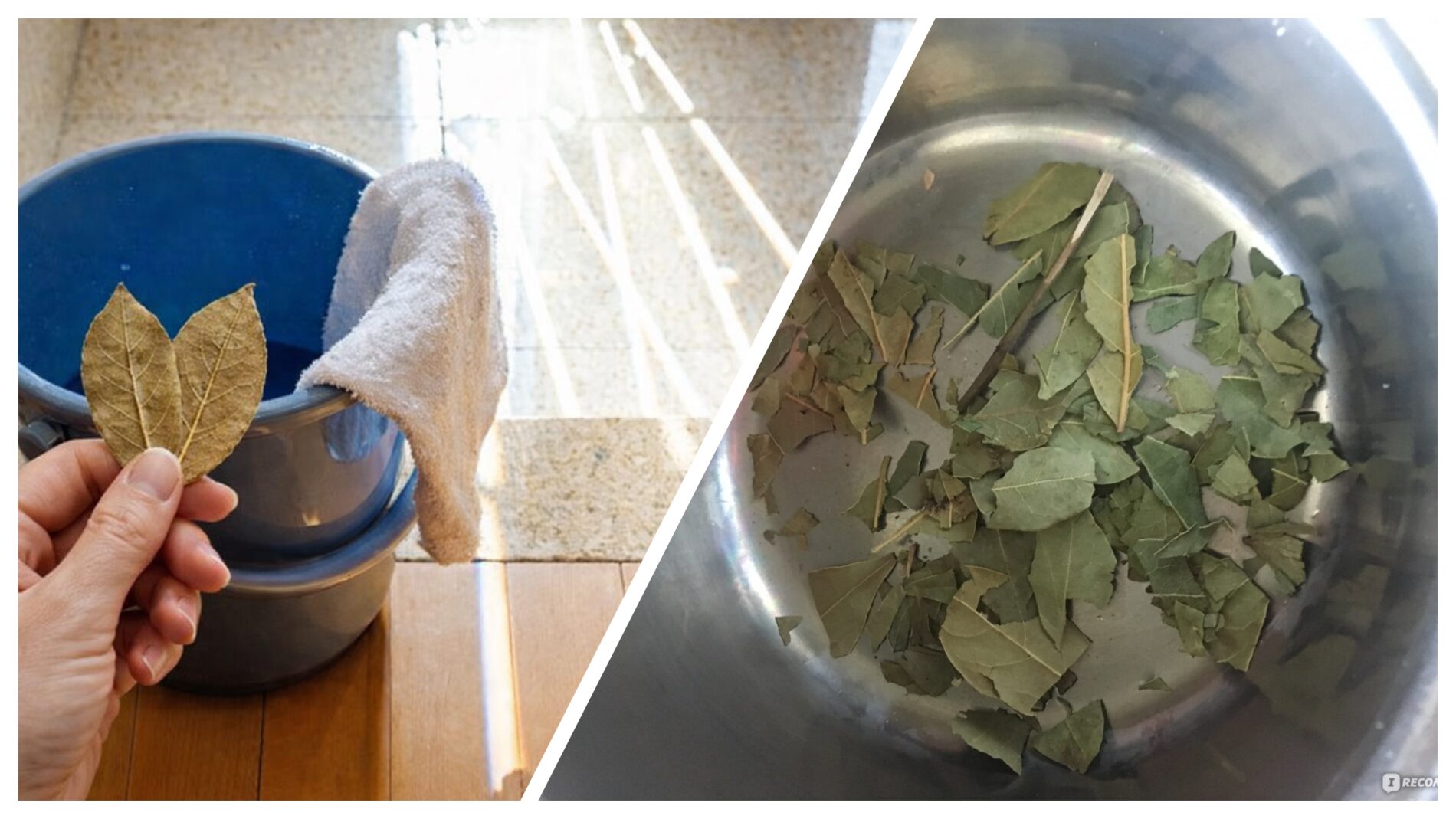 Господині розповіли, що додати у воду для миття підлоги для аромату вдома 