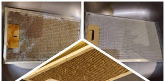 Господині розповіли, як ефективно очистити витяжку від старого нагару 