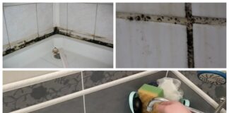 Господині розповіли, як позбутися чорного грибка у ванній кімнаті  