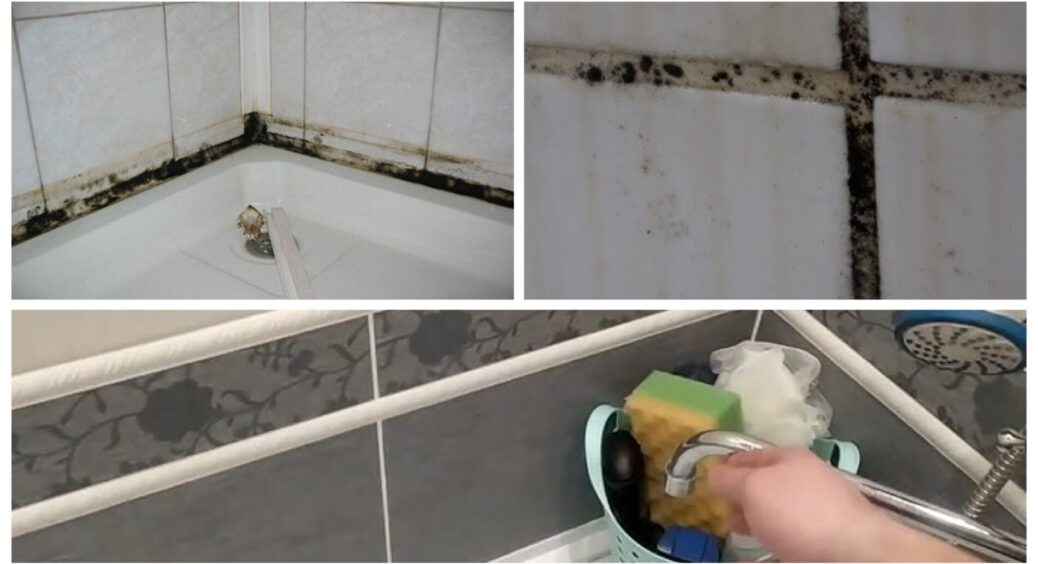 Забула про чорний грибок на швах плитки та у душовій кабінці, коли зрозуміла 1 факт: діяти треба інакше 