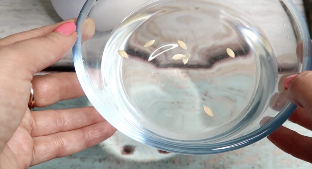 Перевіряю насіння перцю на схожість без землі: кладу в солону воду на 10 хв – пусті зерна самі себе видають 