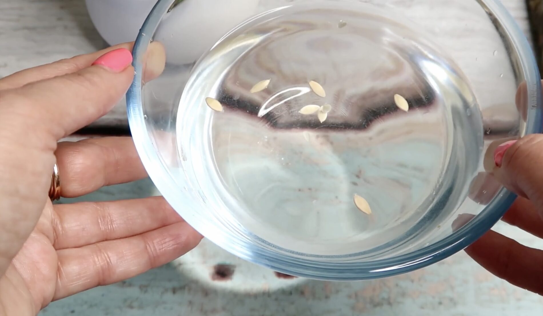 Садівники розповіли, як пришвидшити проростання насіння