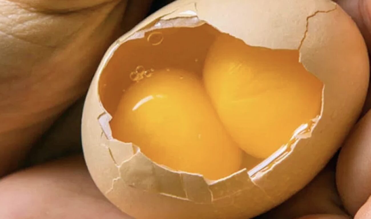Господині розповіли, як обрати курячі яйця з двома жовтками