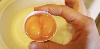 Господині розповіли, як обрати курячі яйця з двома жовтками