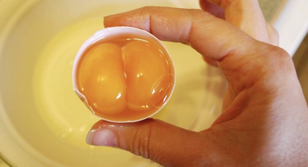 Продавці на базарі знають цей секрет: дивлюся ось сюди, і обираю “Джекпот” – яйця з двома жовтками 