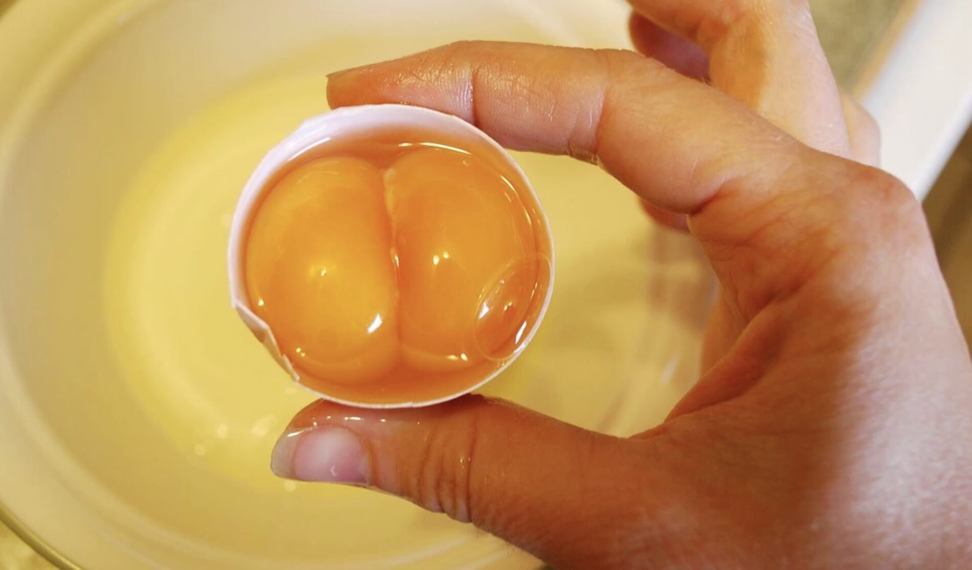 Господині розповіли, як обрати курячі яйця з двома жовтками