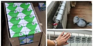 Як використовувати коробки з-під молока для утеплення