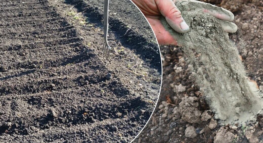 Попіл із печі не викидаю – це “чорне золото”: 3 способи використання в саду і на городі 