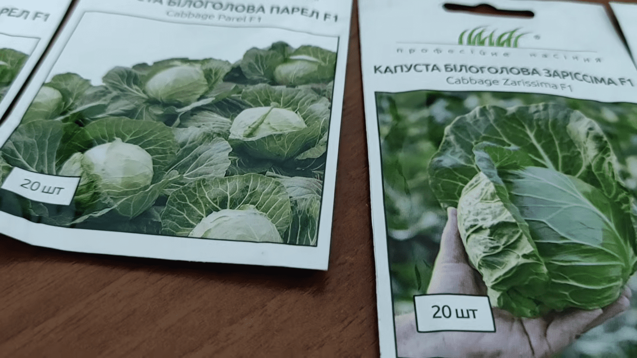 Городники порадили найурожайніші сорти ранньої капусти