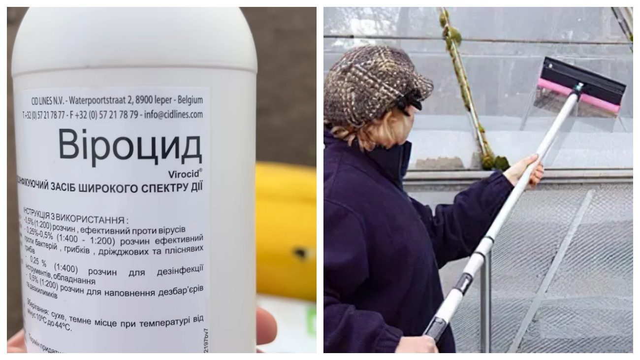 Господарі розповіли, чим відмити плівку у теплиці після зими