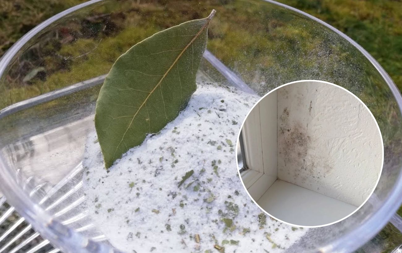 Як позбутись від вогкості на вікні