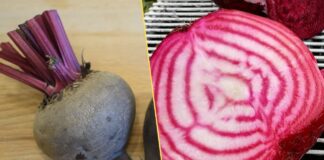 Як сіяти буряк, аби ріс соковитим і солодким