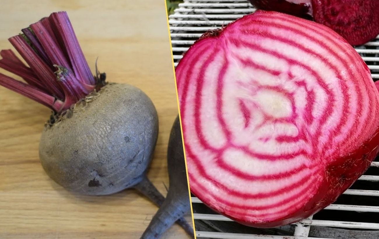 Як сіяти буряк, аби ріс соковитим і солодким