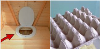 Господині розповіли, як прибрати запах у вуличному туалеті без витрат