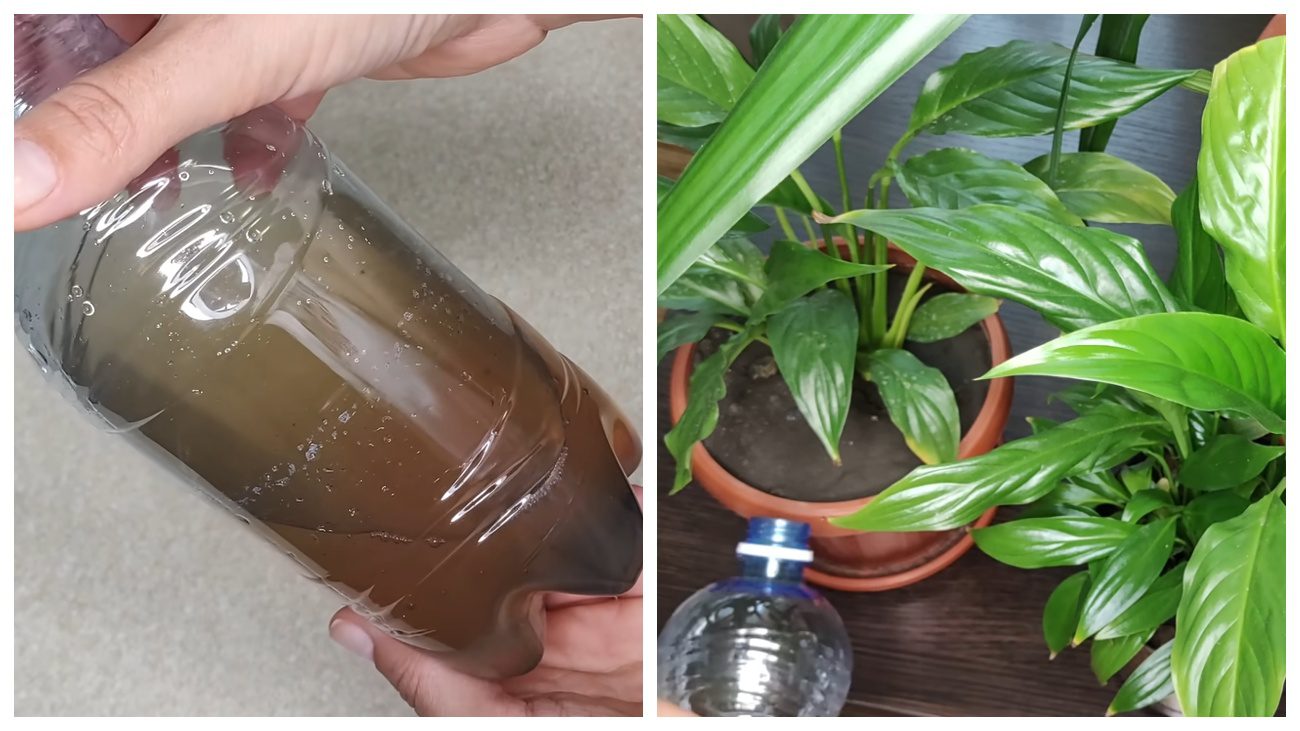 Експерти поділилися корисними лайфхаками для домогосподарства