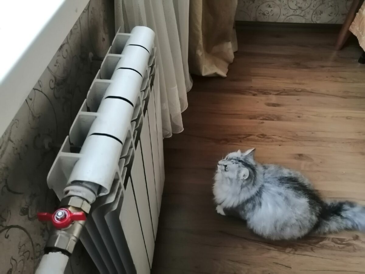 Експерти пояснили, яка помилка призводить до низької температури вдома – пояснення