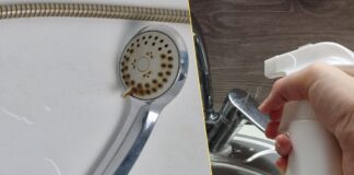 Як очистити душ від вапняного нальоту