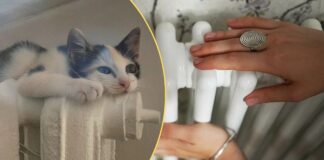 Яка помилка призводить до втрати тепла з квартири та будинку