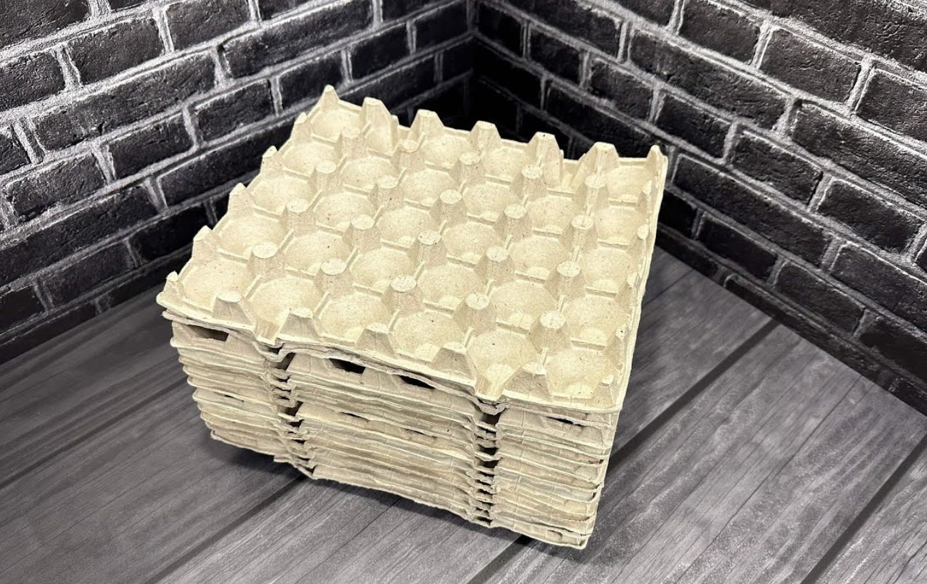 Як використовувати лотки з-під яєць у побуті