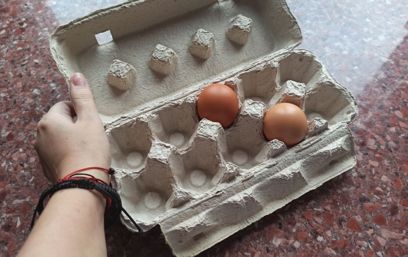 Експерти розповіли, як використовувати лотки з-під яєць для покращення свого побуту – порада