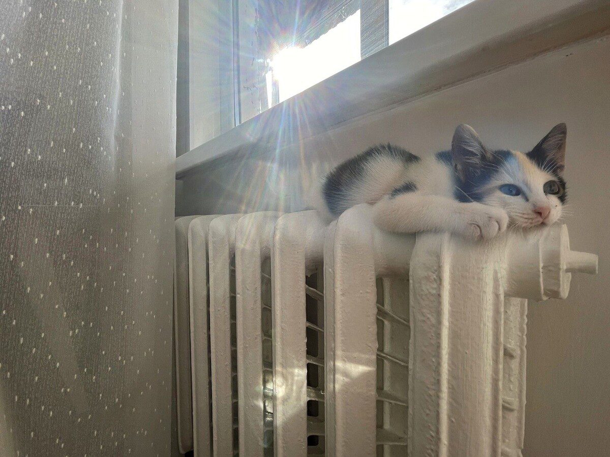 Експерти пояснили, як покращити стан повітря вдома за допомогою простої вологої наволочки