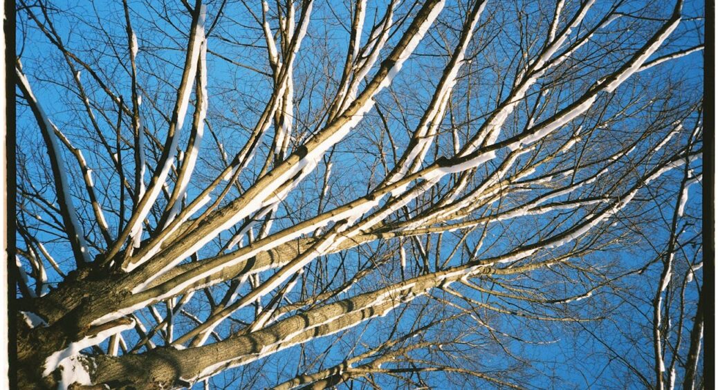 Зима виявилася занадто холодною, тому у весняне підживлення треба внести зміни: ці 3 добрива творять дива 