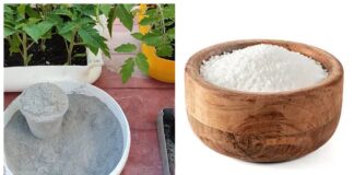 Городники розповіли, чим замінити оцет під час приготування зольного розчину