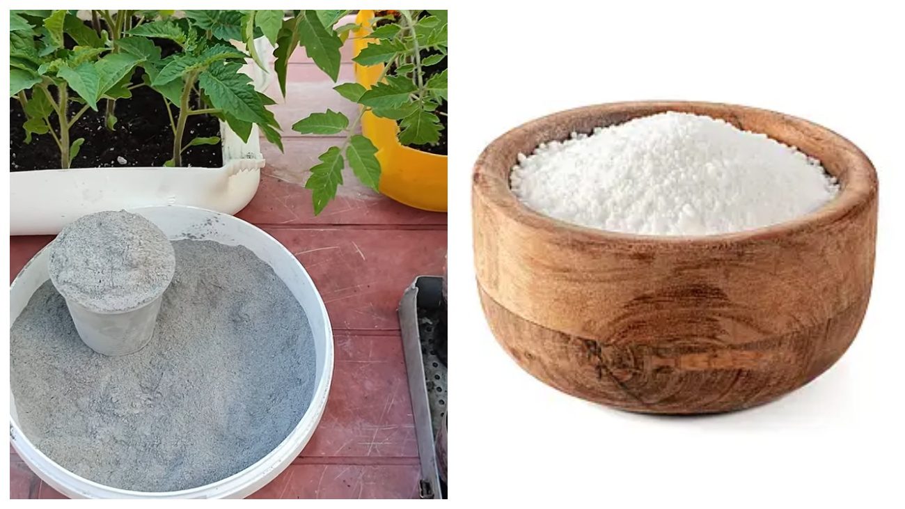 Городники розповіли, чим замінити оцет під час приготування зольного розчину