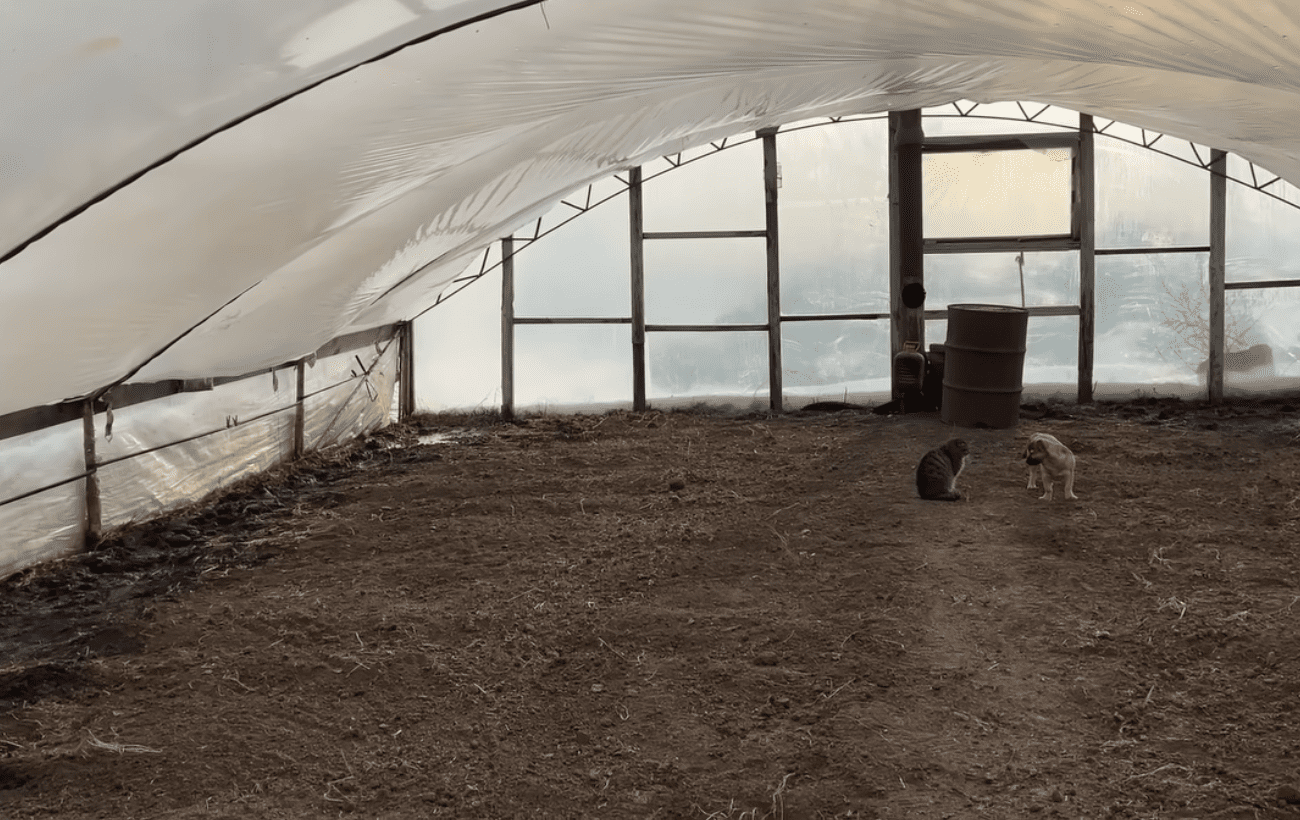 Господарі розповіли, чим відмити плівку у теплиці після зими