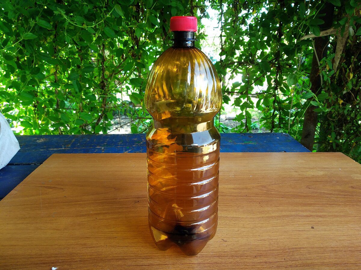 Садівники розповіли, як перетворити старі пляшки від рослинної олії для простішого поливу