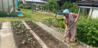 Городники назвали дні, коли не можна займатися городніми справами. Фото: скриншот з відео