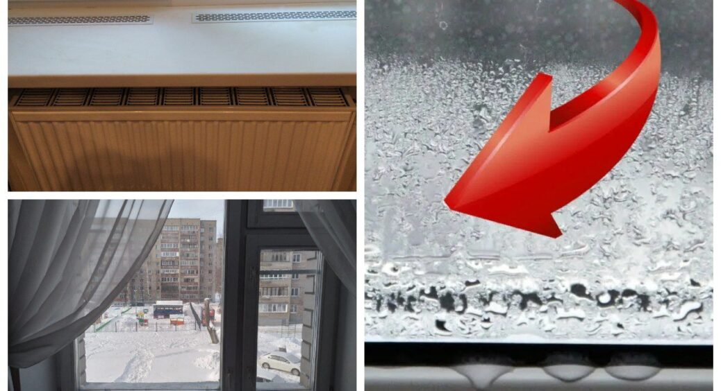 Вікна “плачуть” і сирість не зникає? Поставила цю 1 дрібницю на підвіконня — конденсат щезнув за ніч 