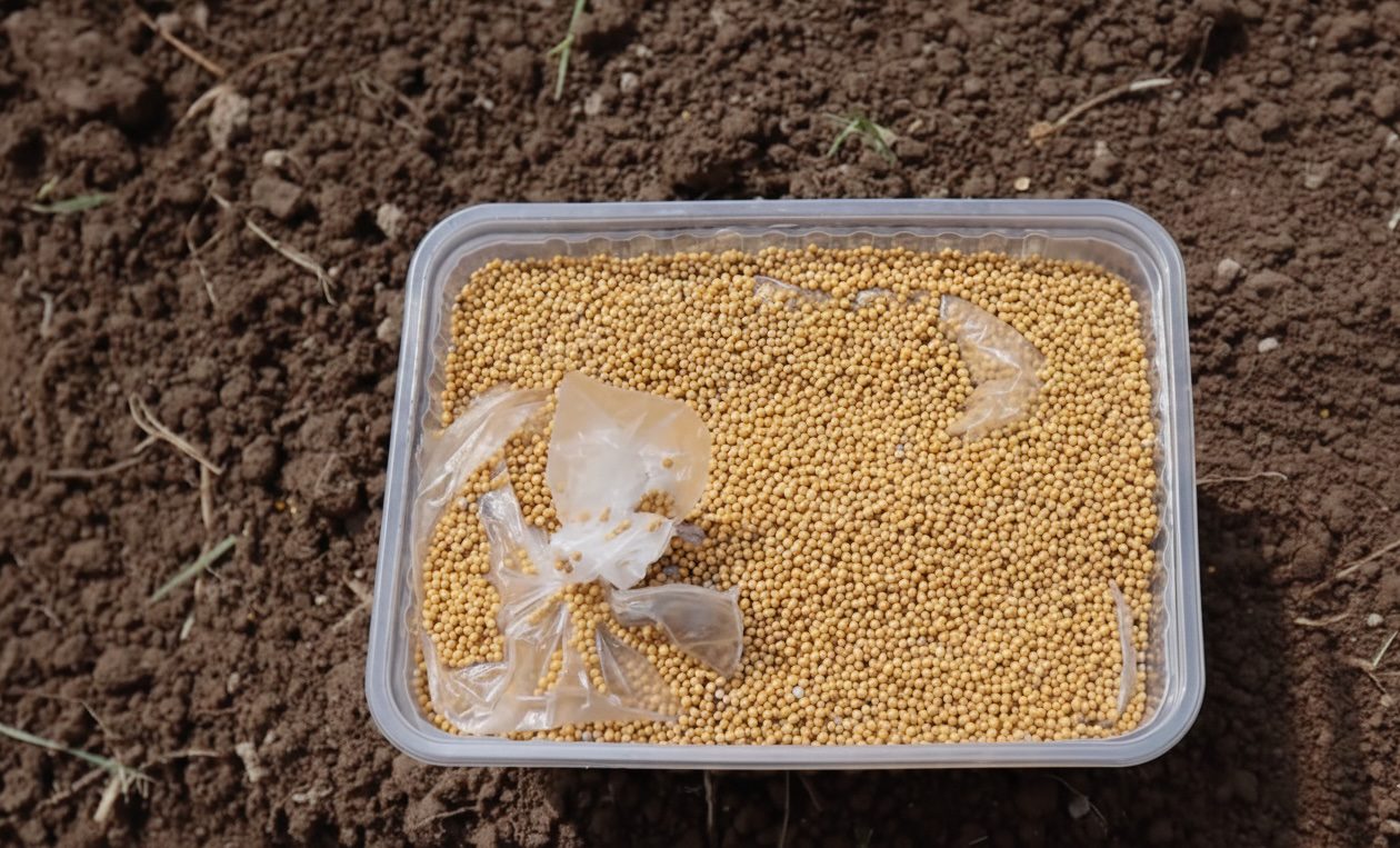 Городники розповіли, як навесні підвищити родючість ґрунту