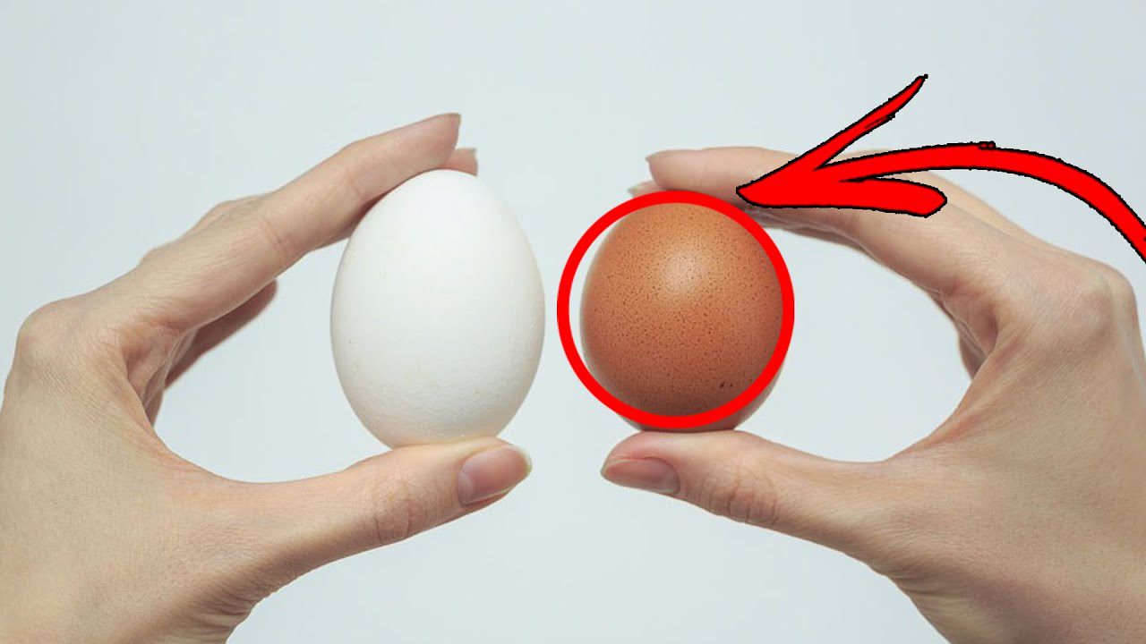 Господині розповіли, як легко визначити свіжість яйця, не розбиваючи його