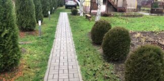 Дачники розповіли, як легко зробити дренажну доріжку без бетону