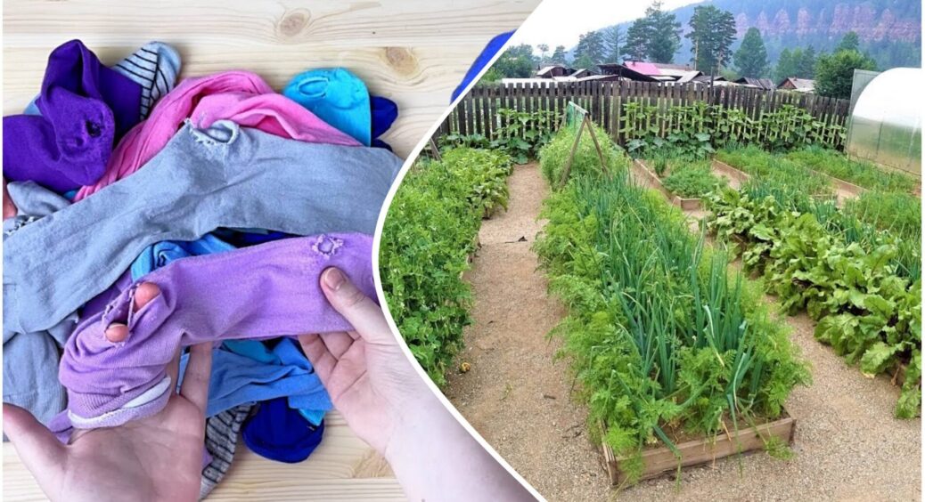 Діряві шкарпетки тепер не викидаю: 4 несподівані способи застосувати їх у побуті та саду 