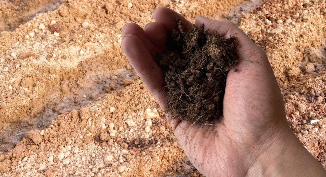 КАМАЗ гною – точно ні: ось що мені допомогло перетворити “важку” глину на чорнозем – лайфхак 2026 року 