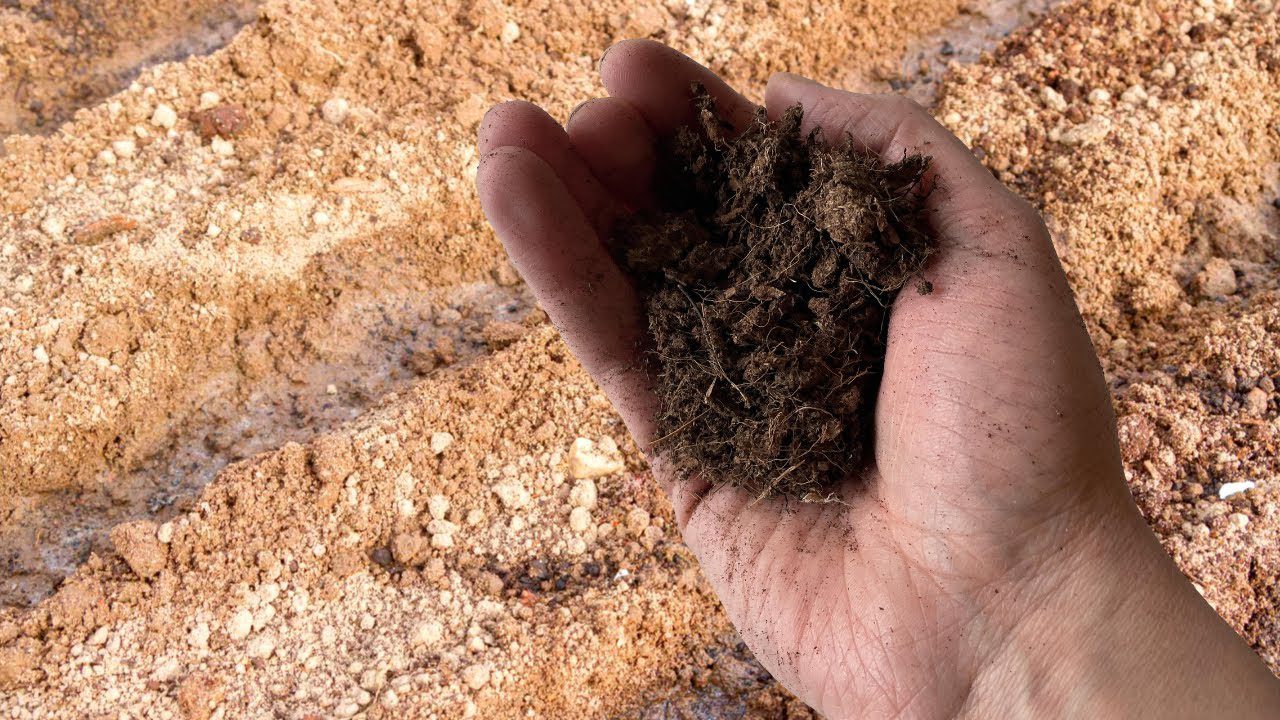 Городники розповіли, як легко та просто зробити з глини родючий чорнозем