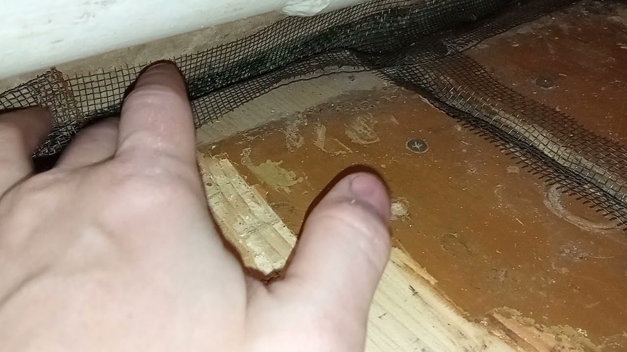 Господарі поділилися найпростішим способом утеплення підлоги в будинку