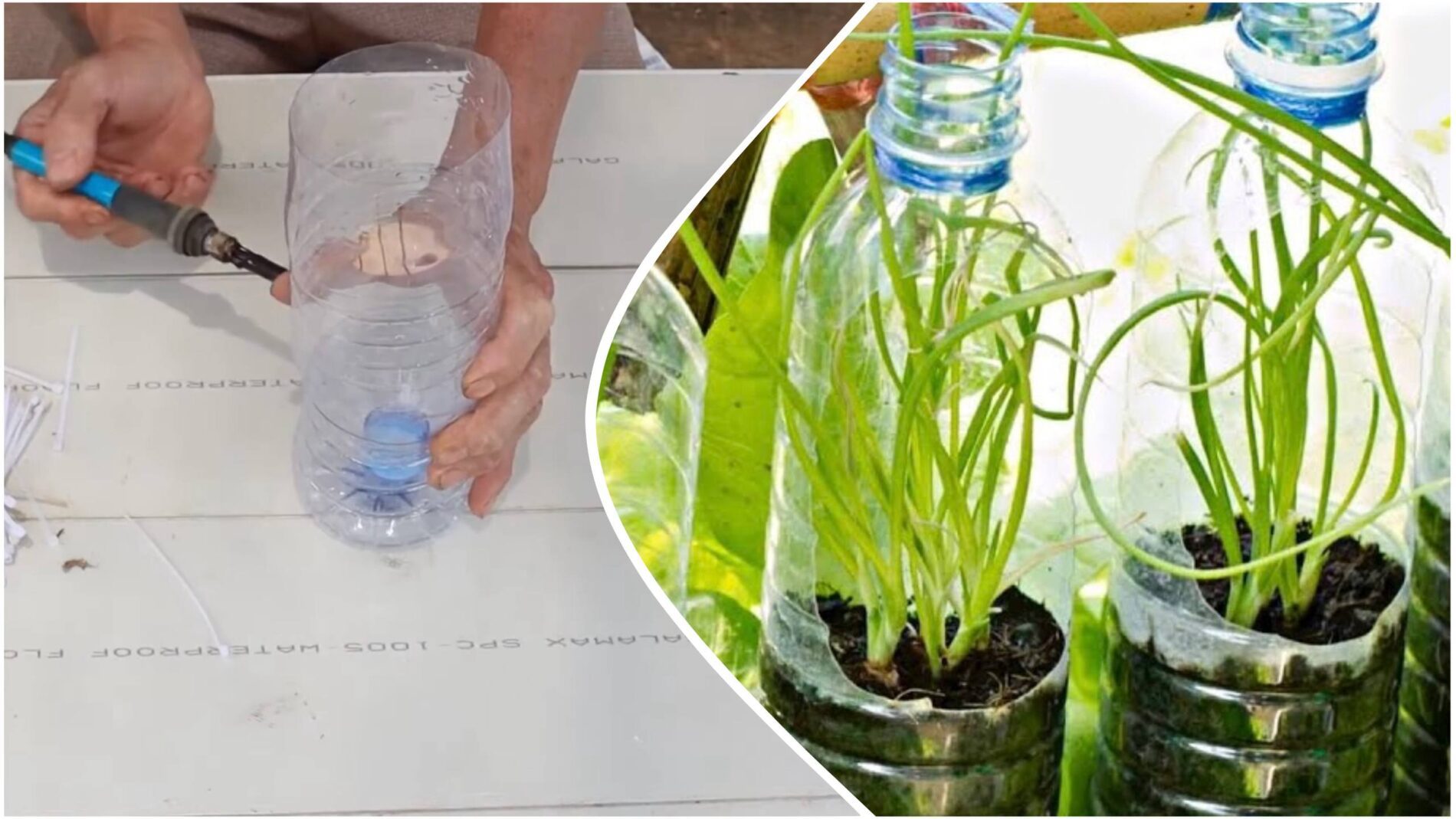 Дачники розповіли, що ще корисного можна зробити з пластикових пляшок на городі