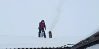 Господарі поділилися способом очищення димаря за допомогою нафталіну