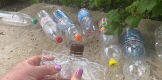 Садівники поділилися 3 корисними лайфхаками для дачників із пластиковою пляшкою