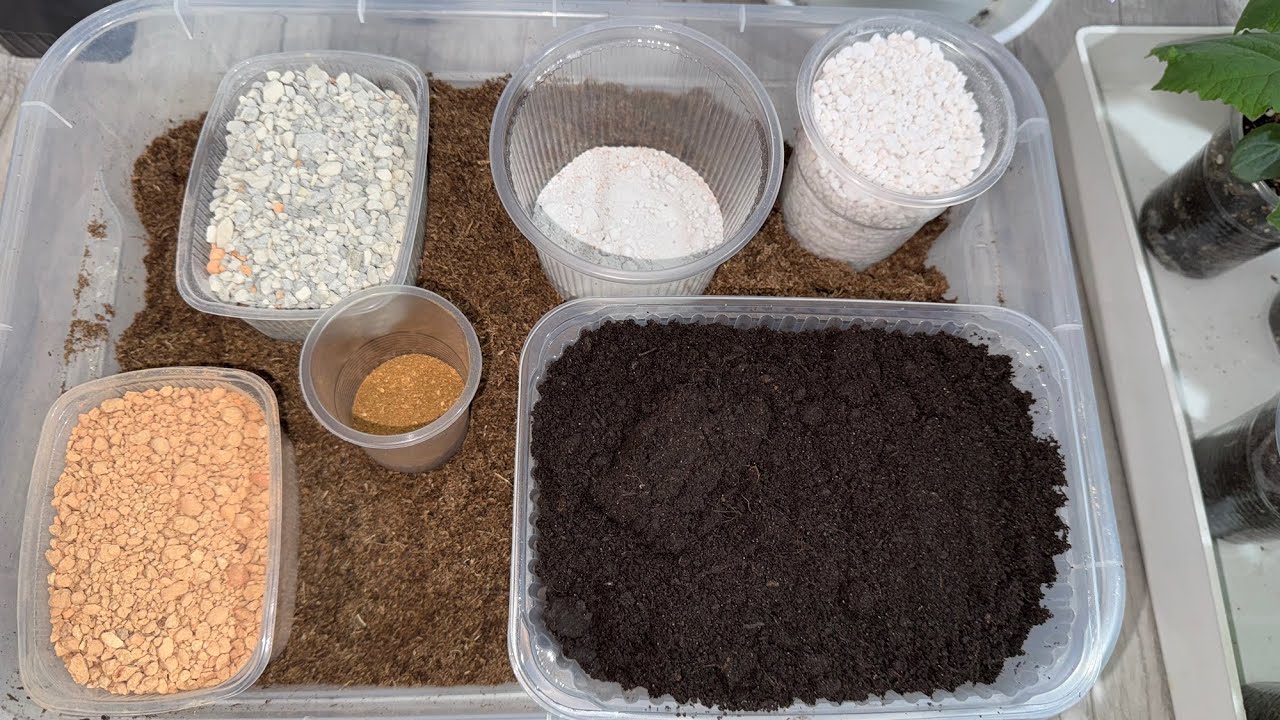 Городники розповіли, як зробити ґрунт для розсади самостійно