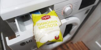 Господині розповіли, як легко почистити пральну машину без хімії
