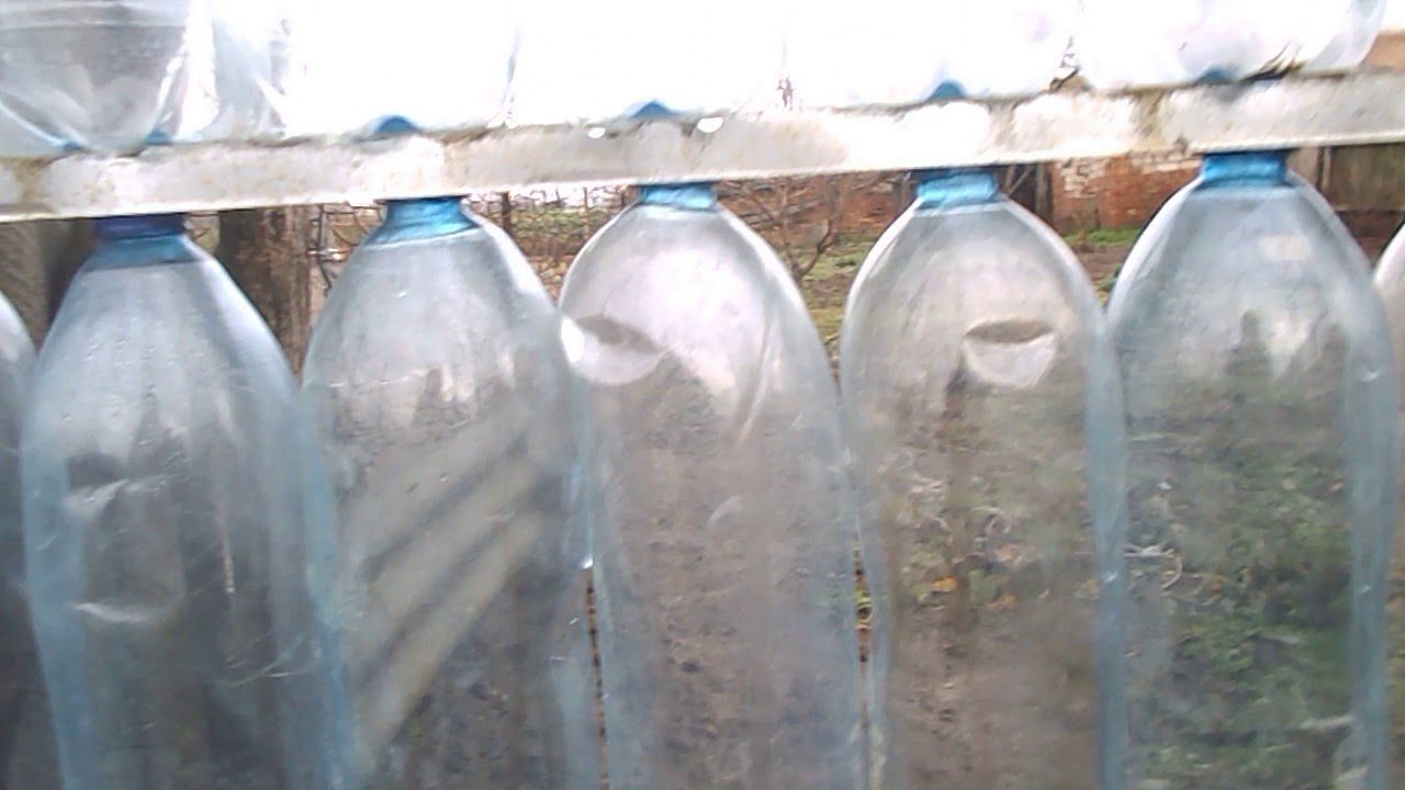 Дачники розповіли, навіщо потрібно вішати пляшку на паркан