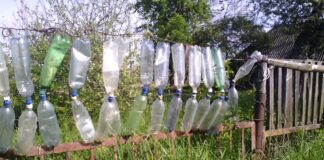 Дачники розповіли, навіщо потрібно вішати пляшку на паркан