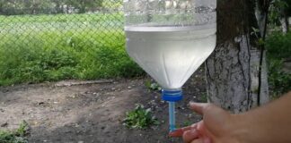 Господарі розповіли, як зробити умивальник із пляшки за 5 хвилин